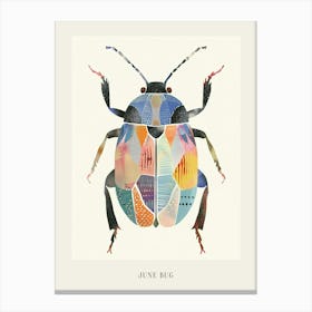 Colourful Insect Illustration June Bug 16 Poster Canvas Print
