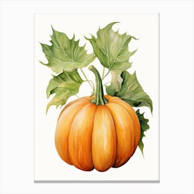 Musque De Provence Pumpkin Watercolour Illustration 1 Canvas Print