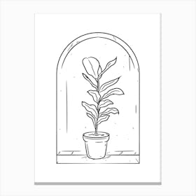 Potted Plant In The Window Canvas Print