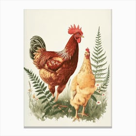 Vintage Illustration Hen And Chicken Fern 1 Canvas Print