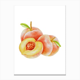 Watercolor Peach Canvas Print