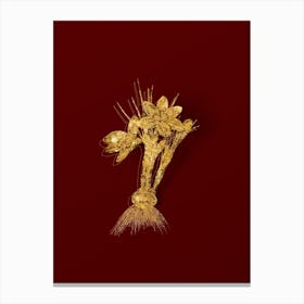 Vintage Crocus Luteus Botanical in Gold on Red n.0613 Canvas Print