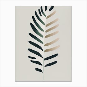 Shield Fern Simplicity Canvas Print