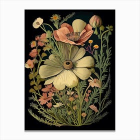 Cosmos Wildflower Vintage Botanical 1 Canvas Print