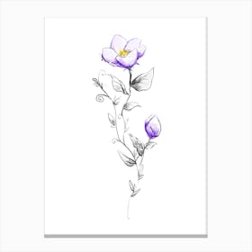 Violet Canvas Print