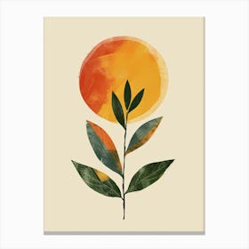 Stellar Balance Mid Century Style Canvas Print