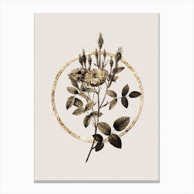 Gold Ring Mossy Pompon Rose Glitter Botanical Illustration n.0048 Canvas Print