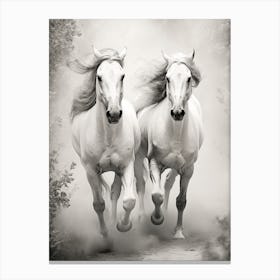 Two White Horses Running 1 Canvas Print