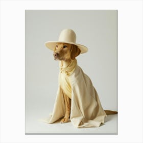 Dog In A Hat Canvas Print