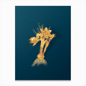 Vintage Crocus Luteus Botanical in Gold on Teal Blue n.0176 Canvas Print