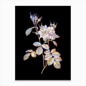 Stained Glass Autumn Damask Rose Mosaic Botanical Illustration on Black n.0356 Canvas Print