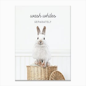 Snowshoe Bunny Wash Whites Separately Canvas Print