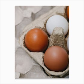 Eggs In A Carton 20 Canvas Print