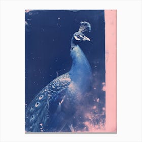 Peacock Pink & Blue Cyanotype Inspired 2 Canvas Print