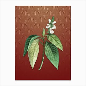 Vintage Malabar Nut Botanical on Falu Red Pattern n.1815 Canvas Print