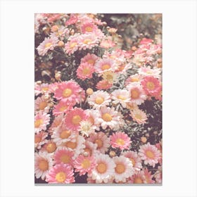 Pink Wildflowers Canvas Print