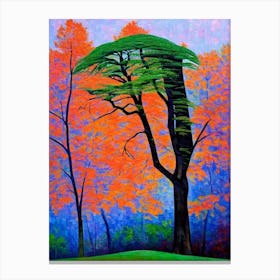 Dawn Redwood Tree Cubist Canvas Print