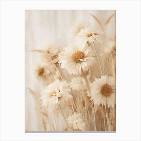 Boho Dried Flowers Daisy 6 Canvas Print