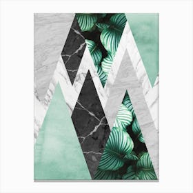 Tropical geometry 9 Canvas Print