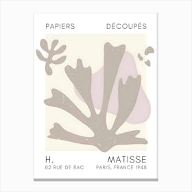 Matisse 21 Canvas Print