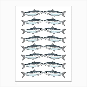 Sockeye Salmon. USA . Canvas Print