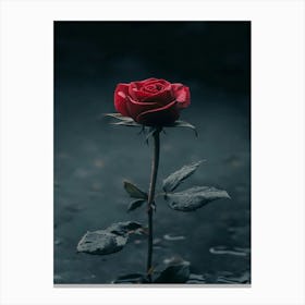 Dark Rose 1 Canvas Print