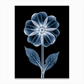 X-Ray Flower 2 Canvas Print