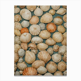 Seashells Canvas Print