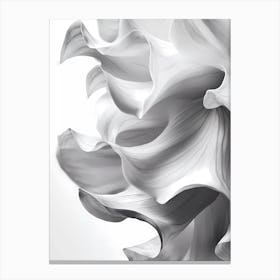 Abstract White Flower Canvas Print