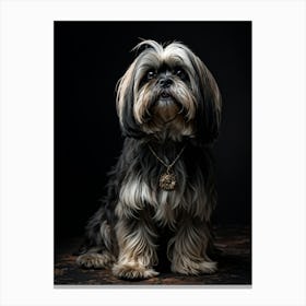 Lhasa Apso Dog Advanced Age Predominantly Black With Touches Of White On Muzzle And Ears Decaying (1) 1 Canvas Print