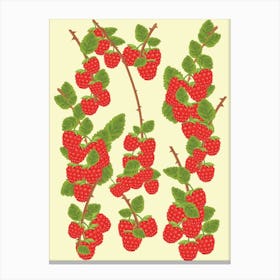 Ripe Raspberries Canvas Print