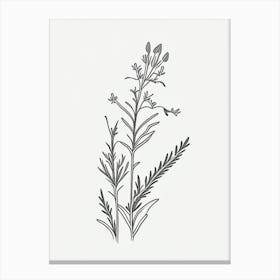 Eyebright Herb William Morris Inspired Line Drawing 1 Canvas Print