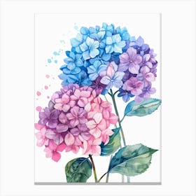 Hydrangeas 3 Canvas Print