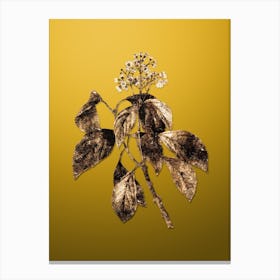 Gold Botanical Climbing Hydrangea on Mango Yellow n.2437 Canvas Print