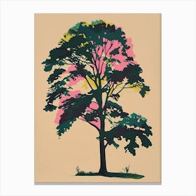 Beech Tree Colourful Illustration 3 Canvas Print