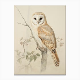 Vintage Bird Drawing Barn Owl 1 Canvas Print