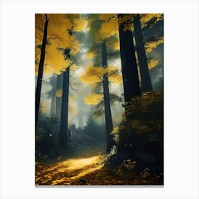 Forest 45 Canvas Print