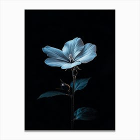 Dark Blue Flower 8 Canvas Print