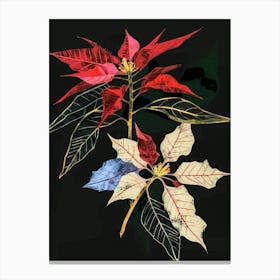 Neon Flowers On Black Poinsettia 2 Canvas Print