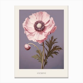 Floral Illustration Anemone 3 Poster Canvas Print