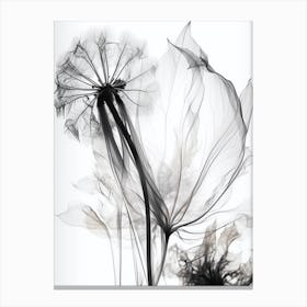Black And White Flower Silhouette 4 Canvas Print