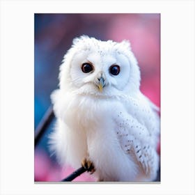 Close Up Of A White Owl With Down Soft Feathers Perched Gently On A Black Twig Smile Visible Larg Canvas Print