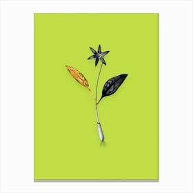 Vintage Erythronium Black and White Gold Leaf Floral Art on Chartreuse Canvas Print