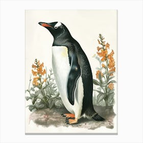 Adlie Penguin Laurie Island Vintage Botanical Painting 4 Canvas Print