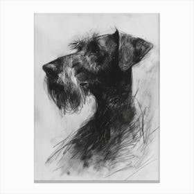Wirehaired Vizsla Dog Charcoal Line Canvas Print
