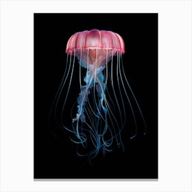 Turritopsis Dohrnii Importal Jellyfish Simple 2 Canvas Print