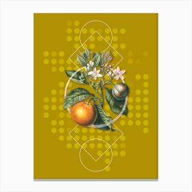 Vintage Bitter Orange Botanical with Geometric Line Motif and Dot Pattern n.0301 Canvas Print