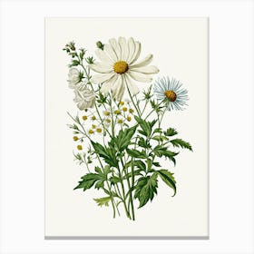 Vintage Botanical Galleria Style Wildflower Painting 6 Canvas Print