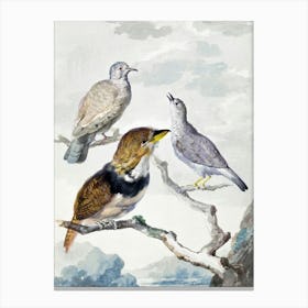 Vintage Bird Art Print_2835785 Canvas Print