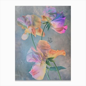 Iridescent Flower Sweet Pea 3 Canvas Print